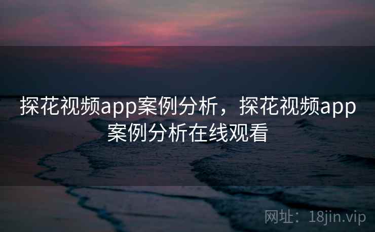 探花视频app案例分析，探花视频app案例分析在线观看