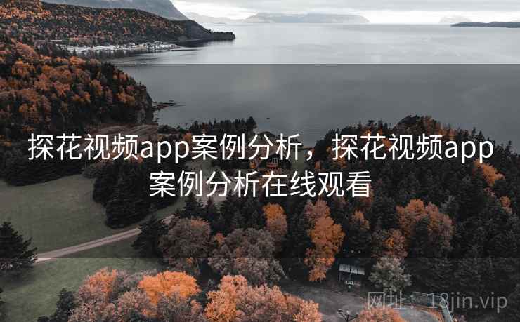探花视频app案例分析，探花视频app案例分析在线观看