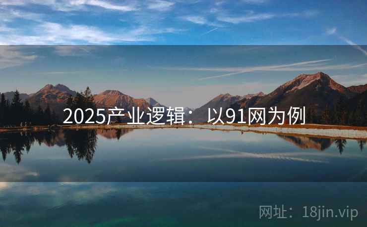 2025产业逻辑：以91网为例