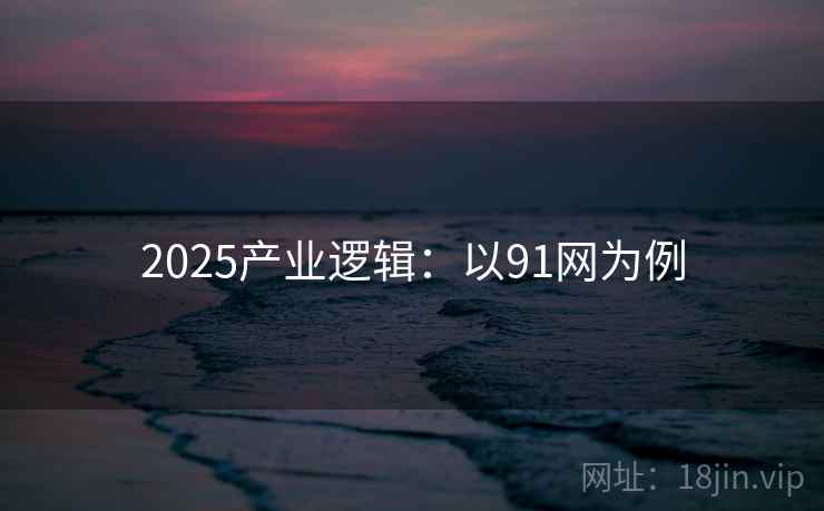 2025产业逻辑：以91网为例