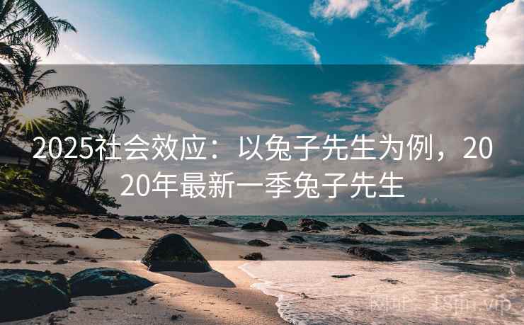 2025社会效应：以兔子先生为例，2020年最新一季兔子先生