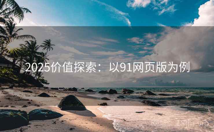 2025价值探索：以91网页版为例
