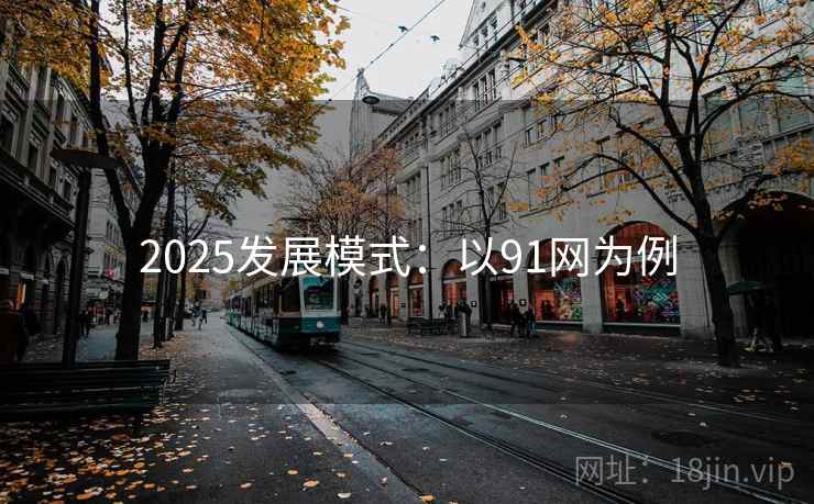 2025发展模式：以91网为例
