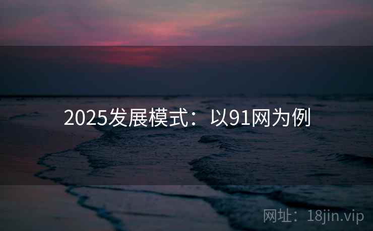 2025发展模式：以91网为例