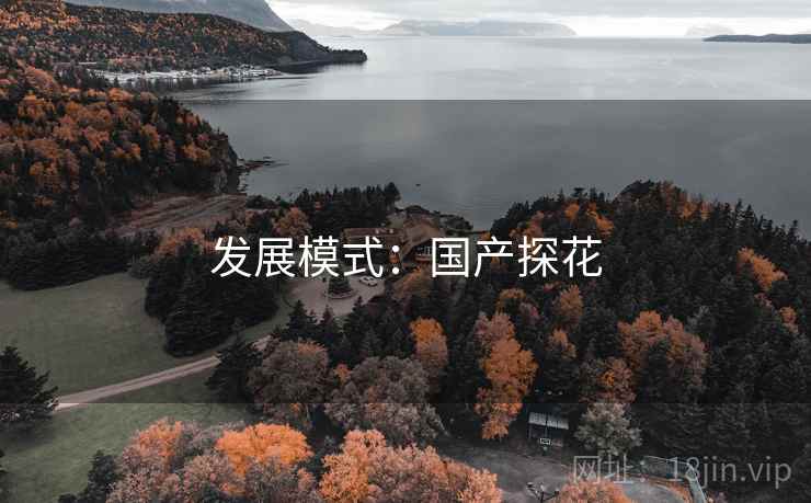 发展模式：国产探花