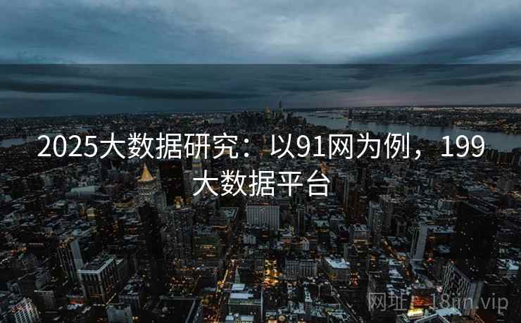 2025大数据研究：以91网为例，199大数据平台