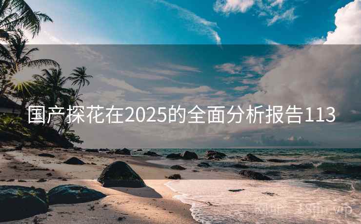 国产探花在2025的全面分析报告113 国产探花在2025的全面分析报告113