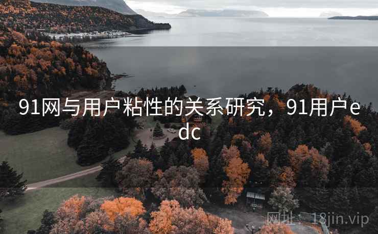 91网与用户粘性的关系研究，91用户edc