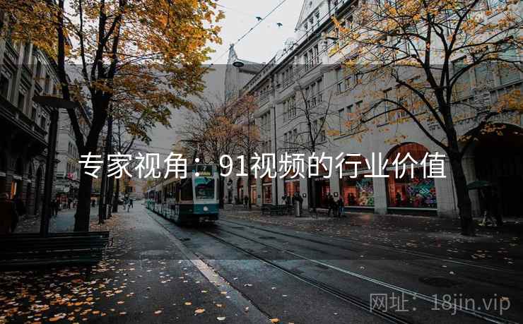 专家视角：91视频的行业价值