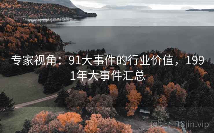 专家视角：91大事件的行业价值，1991年大事件汇总