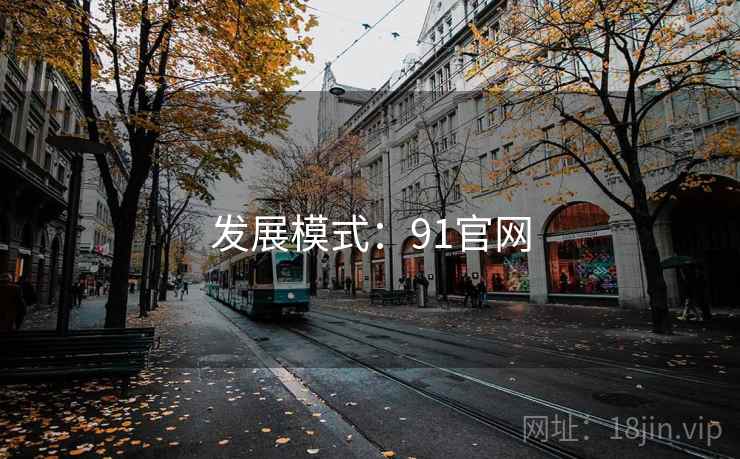 发展模式：91官网