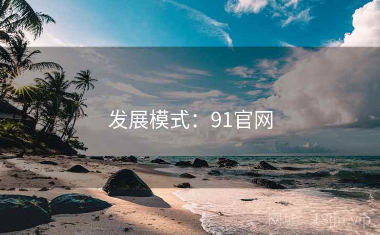 发展模式：91官网