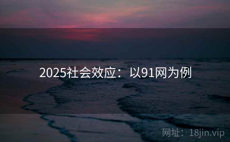 2025社会效应：以91网为例