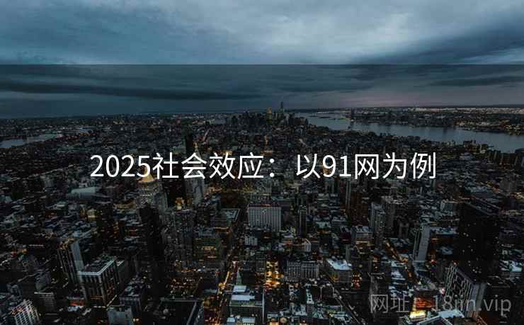 2025社会效应：以91网为例