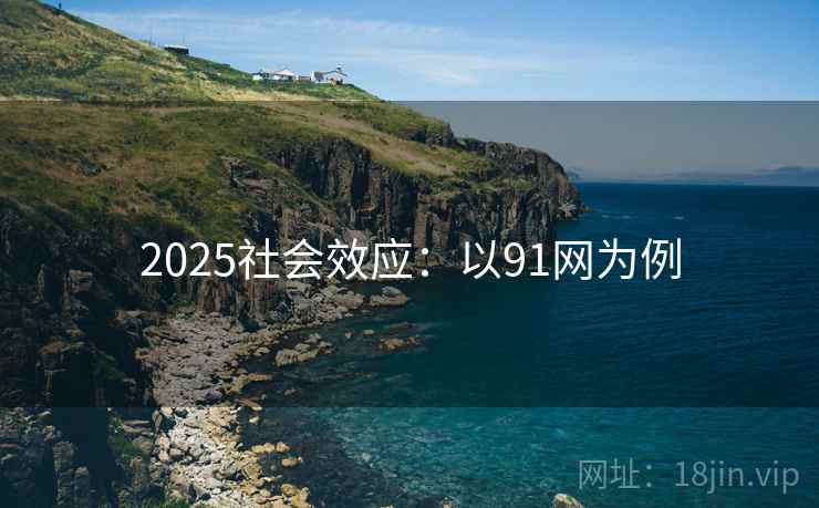 2025社会效应：以91网为例