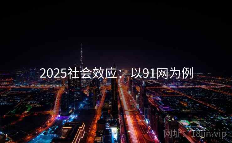 2025社会效应：以91网为例