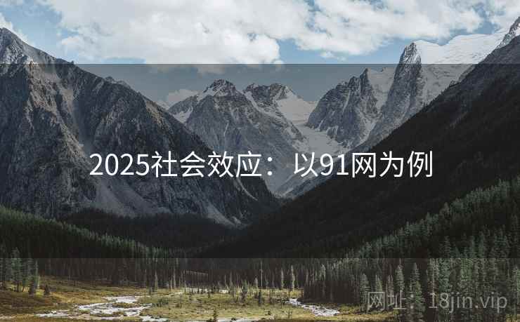 2025社会效应：以91网为例