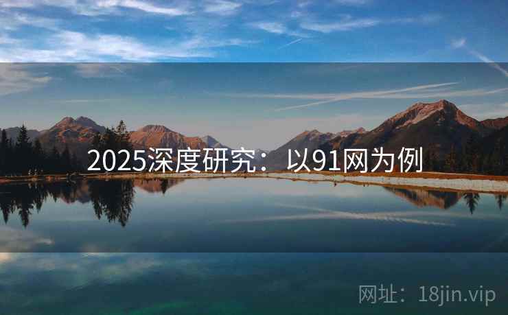 2025深度研究：以91网为例