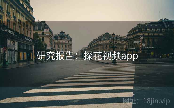 研究报告：探花视频app